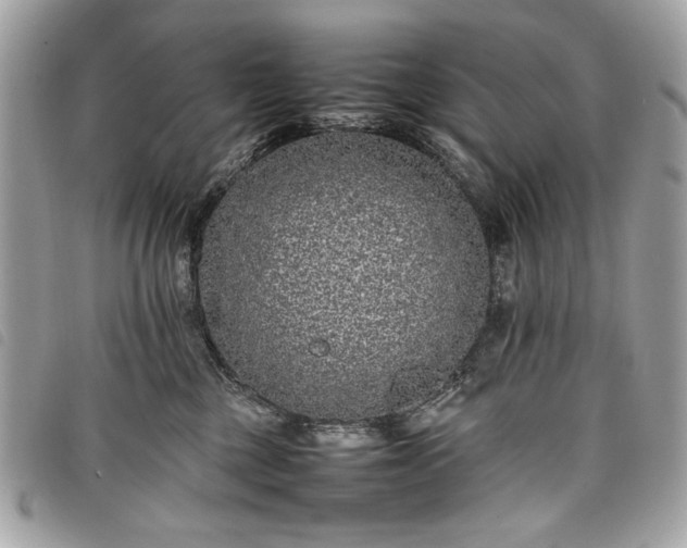 X0000098020377200804071359