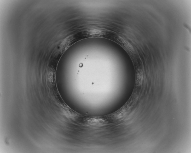 X0000098020379200804071359