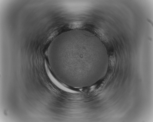 X0000098020380200804071359