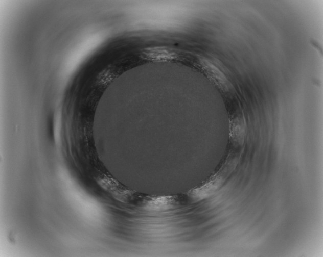 X0000098020382200804071359