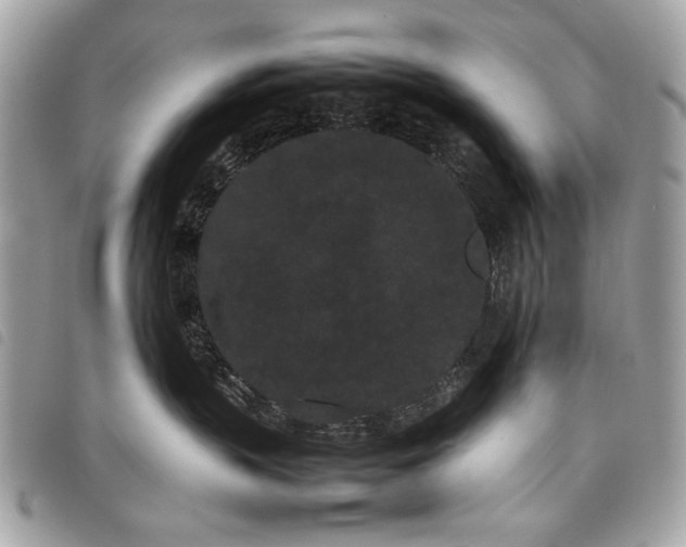 X0000098020383200804071359