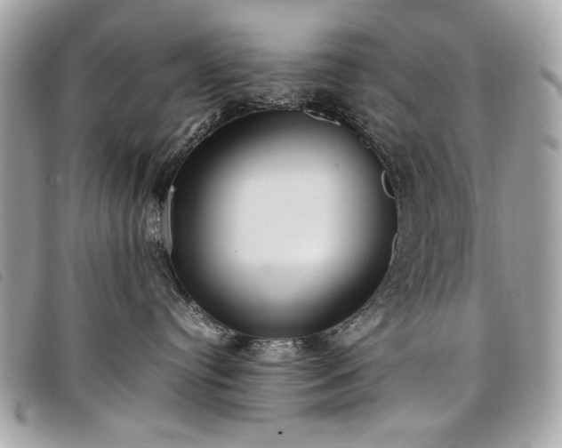 X0000098020384200804071359