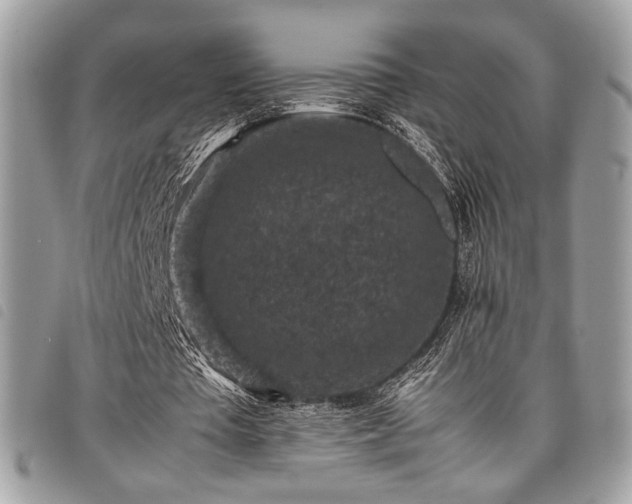 X0000098020385200804071359