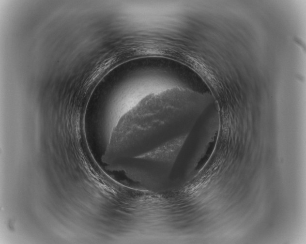 X0000098020386200804071359