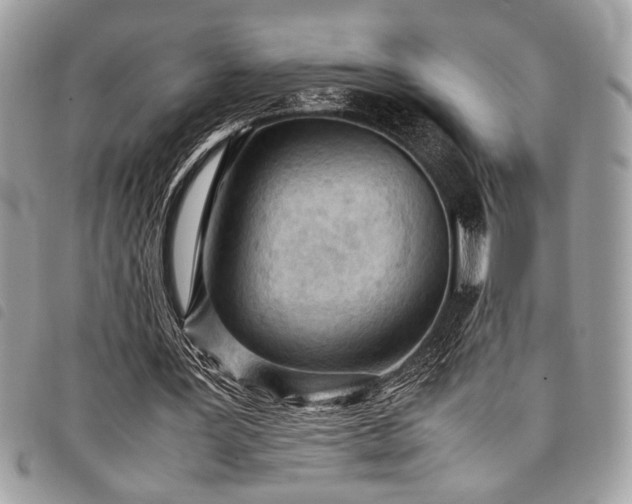 X0000098020387200804071359