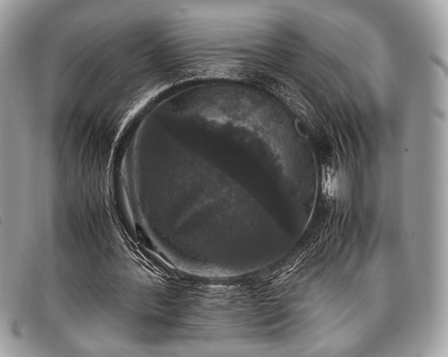 X0000098020388200804071359