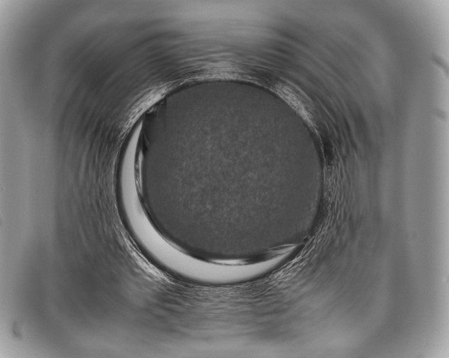 X0000098020389200804071359