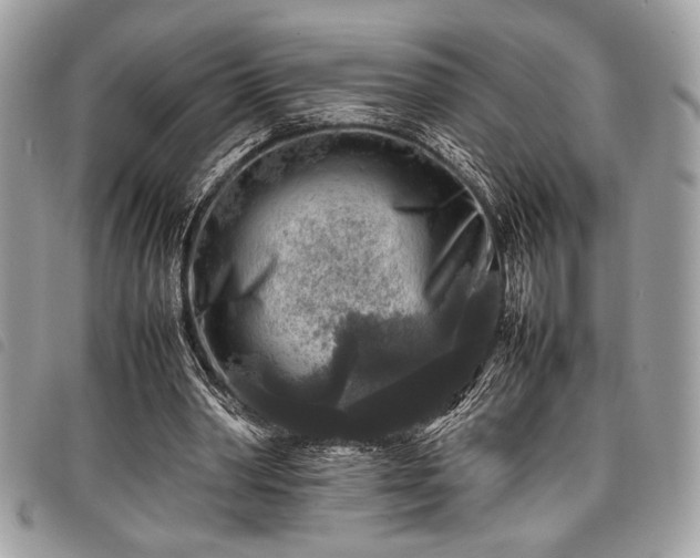 X0000098020390200804071359