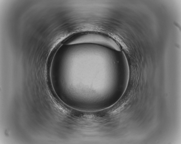 X0000098020391200804071359