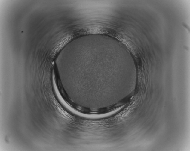 X0000098020393200804071359