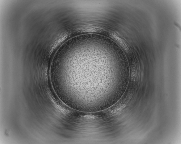 X0000098020394200804071359