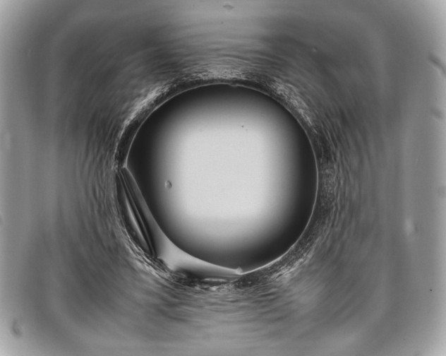 X0000098020395200804071359