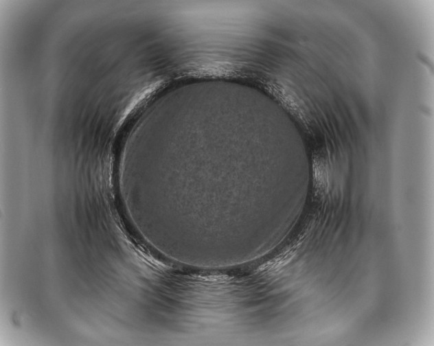 X0000098020396200804071359