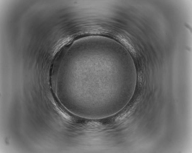 X0000098020397200804071359