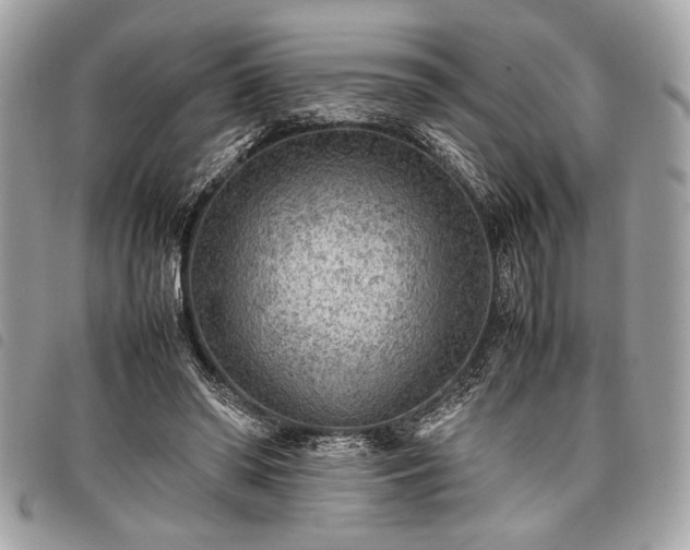 X0000098020398200804071358