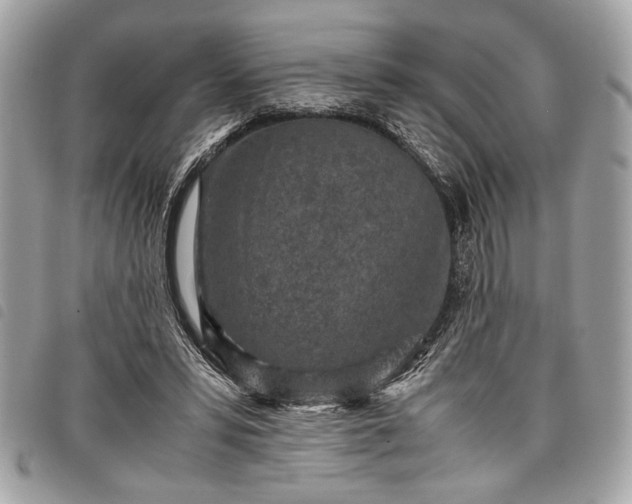 X0000098020399200804071358