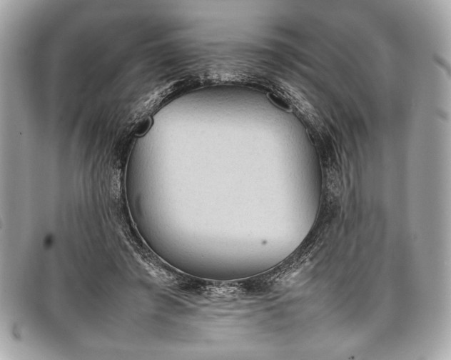 X0000098020401200804071358