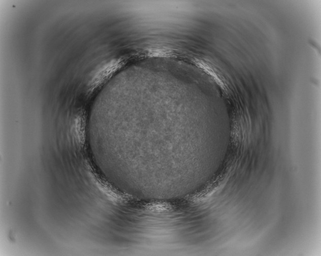 X0000098020402200804071358