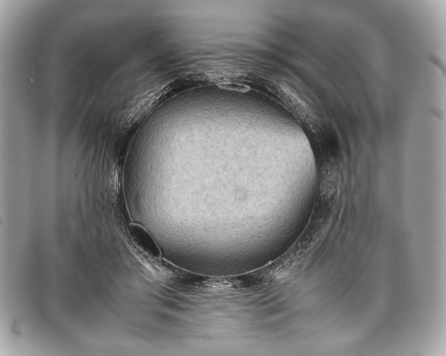 X0000098020405200804071358