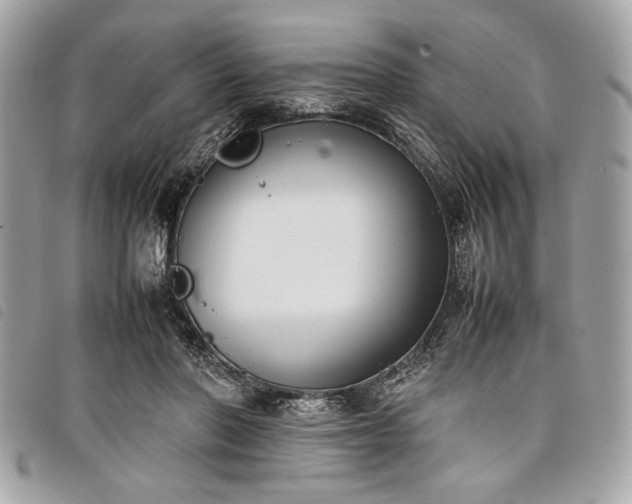 X0000098020406200804071358