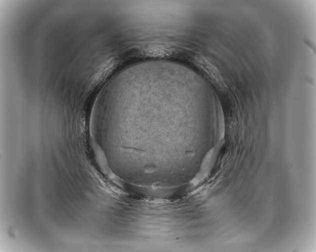 X0000098020407200804071358