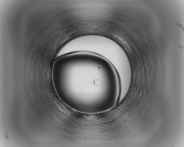 X0000098020409200804071358