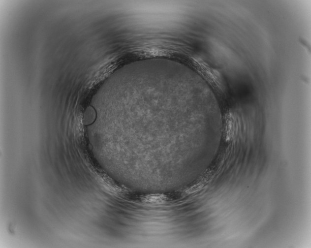 X0000098020410200804071358