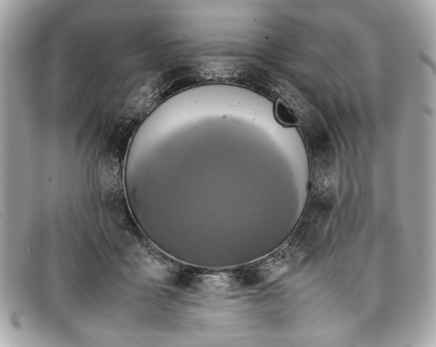 X0000098020411200804071358