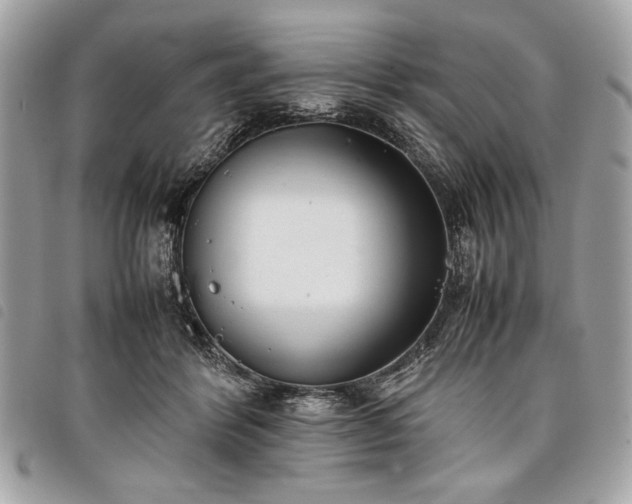 X0000098020412200804071358