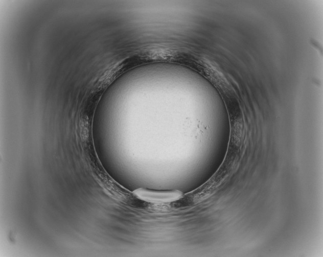 X0000098020413200804071358