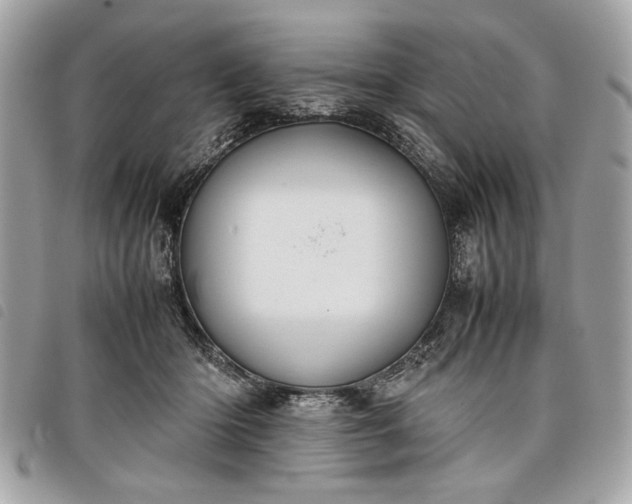 X0000098020414200804071358