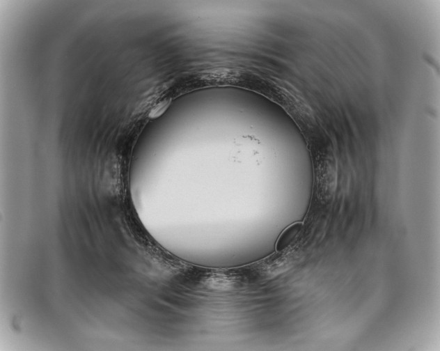 X0000098020416200804071358