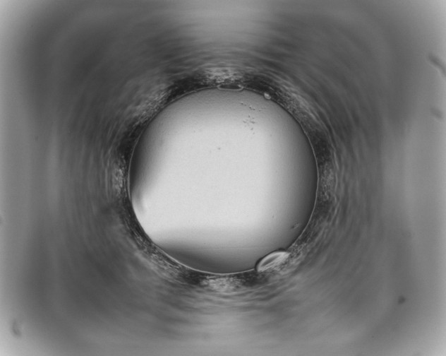 X0000098020417200804071358