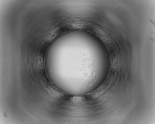 X0000098020418200804071358