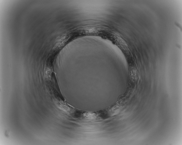 X0000098020419200804071358