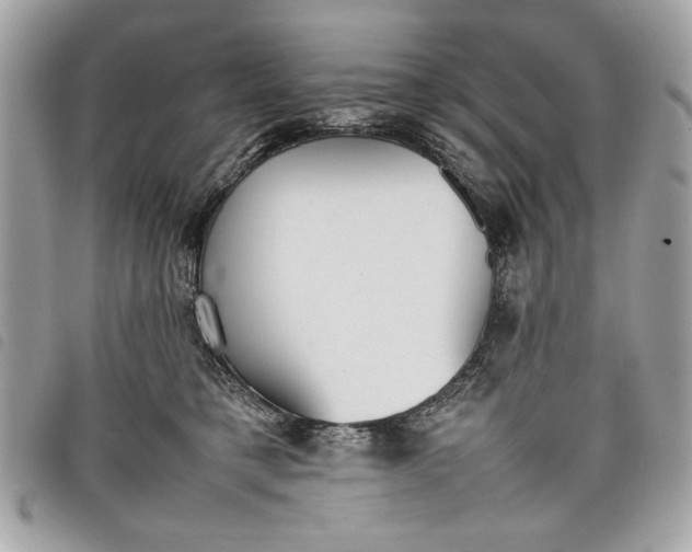 X0000098020421200804071358