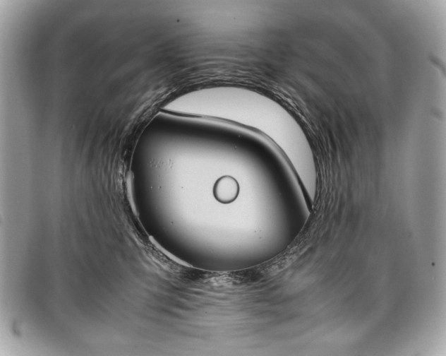 X0000098020423200804071358