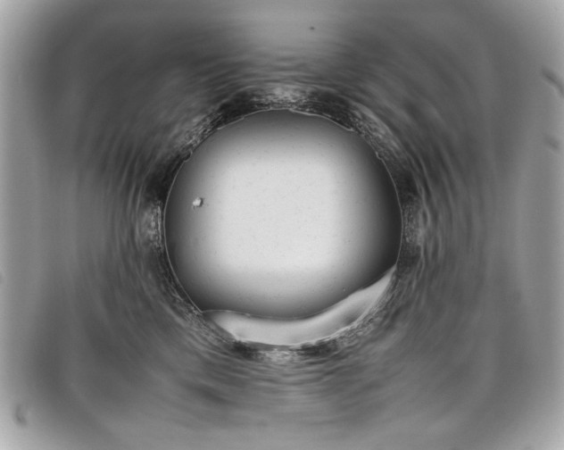 X0000098020425200804071358