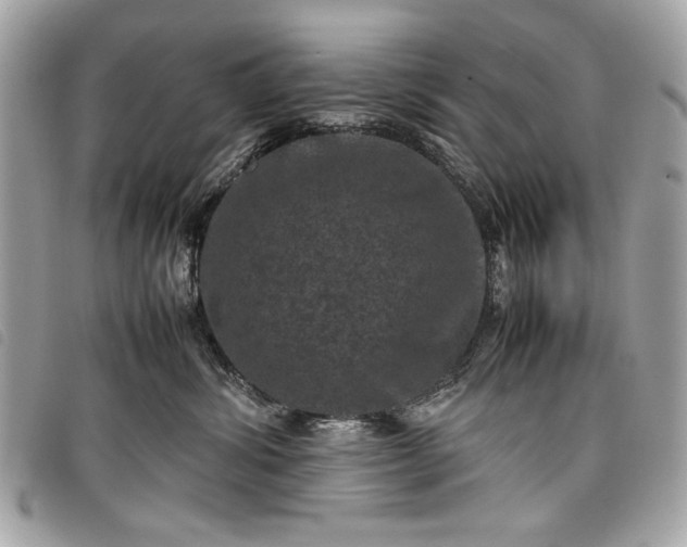 X0000098020428200804071358