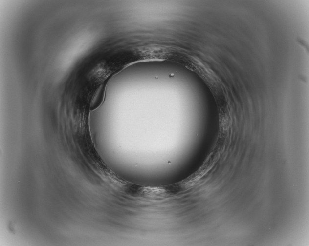 X0000098020429200804071358