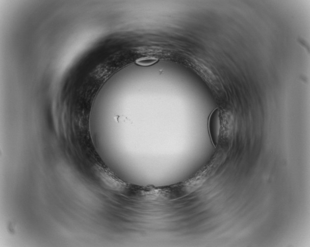 X0000098020430200804071358