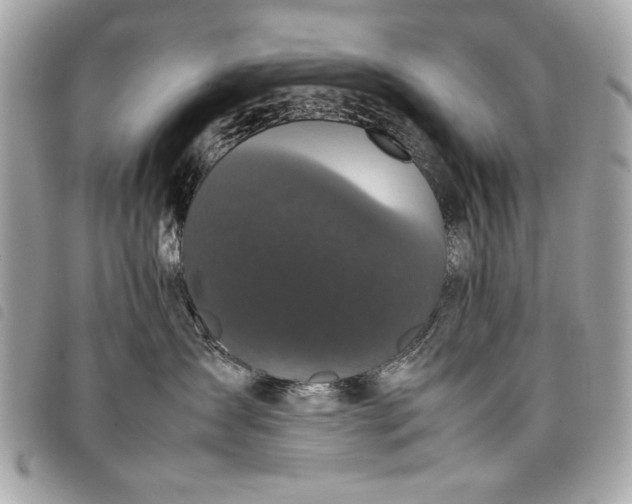 X0000098020431200804071358