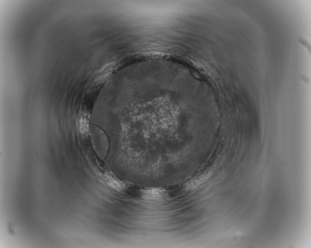 X0000098020432200804071358