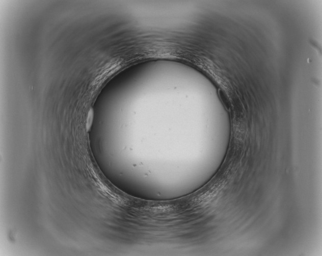 X0000098020433200804071357