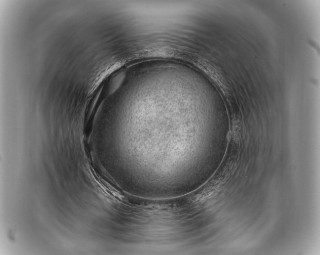 X0000098020434200804071357