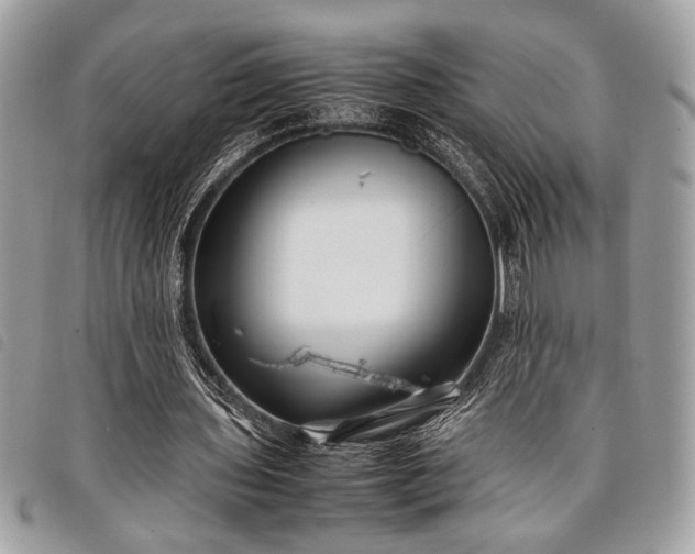 X0000098020435200804071357