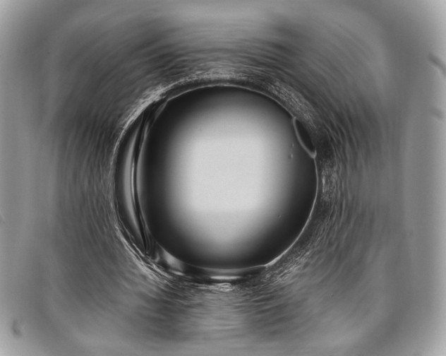 X0000098020436200804071357