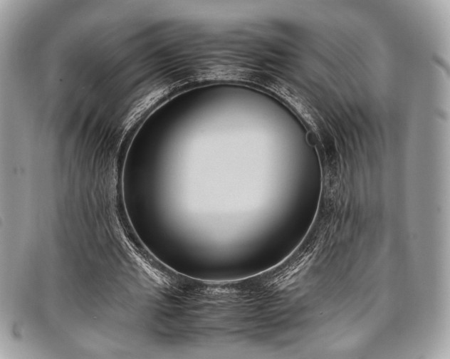 X0000098020437200804071357