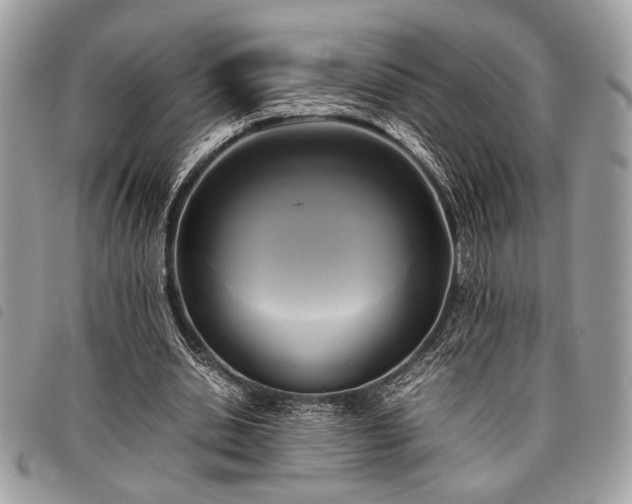 X0000098020438200804071357