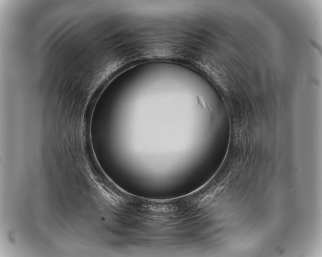 X0000098020439200804071357